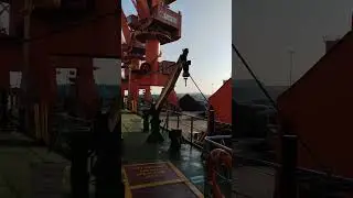 Морская жизнь