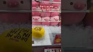First try Claw Machine Prize #shorts #clawmachine #cute