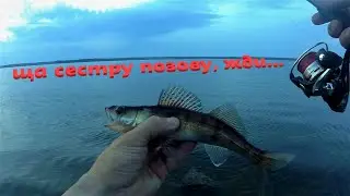 неожиданный ночной  улов!!! спиннинг с берега на Десногорском водохранилище!!!
