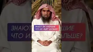Знают ли умершие что их ждёт дальше? #ислам религиямираидобра #хадисы #пророк #книгакоран #дуа