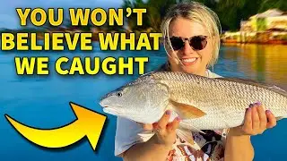 Amazing fishing trip at Outer Banks, NC - how many different species?!?