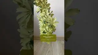 У КОГО ТАК БЫЛО?🤣