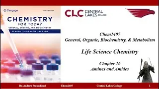 Chem1407 Lecture Notes Chapter 16