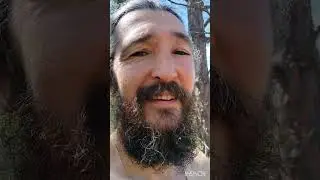 Хроники поместья ЛадаВлад, май 2024!