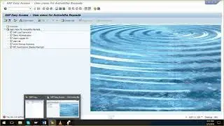 SAP Security - session 1 - User Administration / Role Administration and common processes