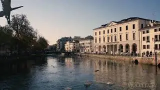 Treviso 