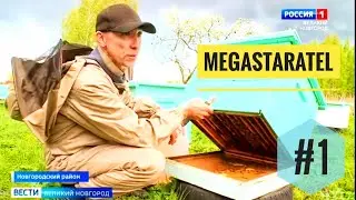 MegaStaratel: моё 