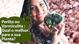 Perlita e Vermiculita qual a diferença e oque fazem nas suas plantas   #perlita #vermiculita
