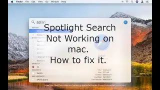 How to fix Spotlight Search on Mac