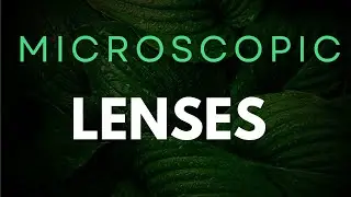 Exploring the microscopic world through lenses