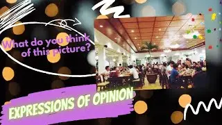 Expressions of opinion