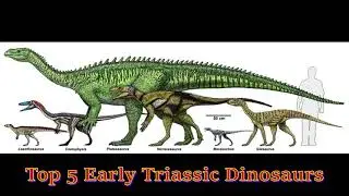 Top 5 Early Triassic Dinosaurs
