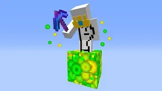 Minecraft But There Is Only 1 Exp Block