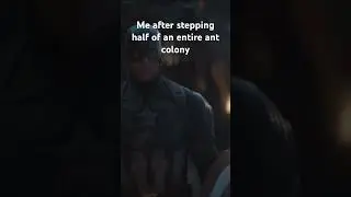 Ant videos. #funny #memes #thanos #marvel #funnymemes