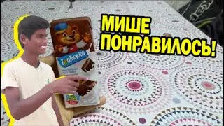 Обзор мол. cock. 