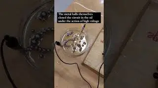Metal balls VS Circuit #scitech #science #homesecuritycamera #sciencetechnology #memes