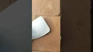 Казнь семьи виноградов