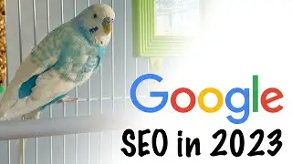 Google and SEO in 2023 | My Tips to Rank Well
