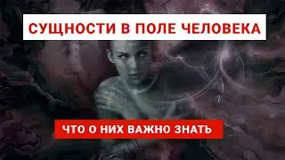 ДЕМОНИЧЕСКИЕ СУЩНОСТИ В ПОЛЕ ЧЕЛОВЕКА Что о них Важно знать Алена Доктор Души