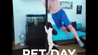 National Pet Day