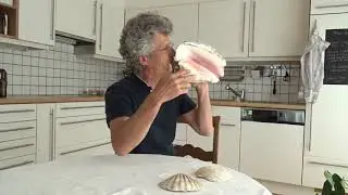 Musique en cuisine_Les fruits de mer