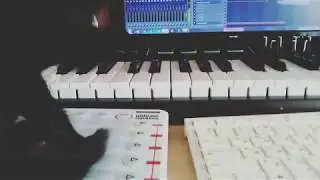 Katrin Souza New Deep Demo(For Spire Bank presets) Fl Studio Flp