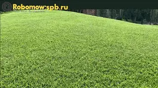 Робот газонокосилка Robomow RK 1000 X 2. В этом пространстве трудятся два робота. И вот результат.