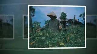 Penjurian Lomba Fotografi SMK Muhammadiyah 1 Ngadirejo 2020