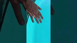 Dip Your Hand To The Pool Water #shorts