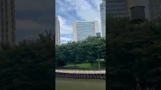 Chicago Architectural Boat Tour 2024