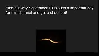 SEPTEMBER 19
