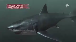 Засекреченные списки 28.11.2020
