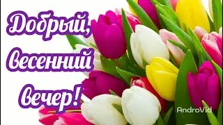 Добрый, весенний вечер! Пожелание доброго вечера! Привет весна!