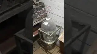 Курочка, которая была очень слабенькая после пероеда, но выжила! 
