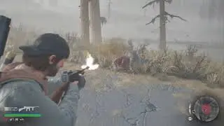 Days gone Live stream