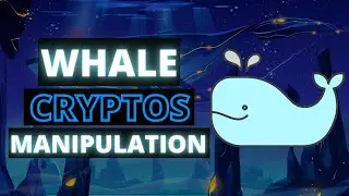 Swimming between the BIG CRYPTO WHALES ⚠️
