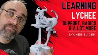 Learning Lychee Slicer and 3D Printing   Software, support, basics and more