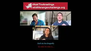 Alexander, Mark & Arnas | Ask The Arselings | Part 1