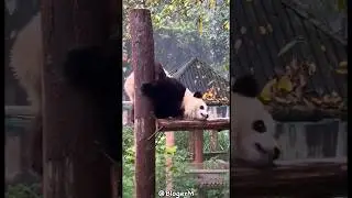 Когда отключили интернет 😁  When the Internet was turned off 🥳