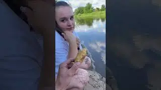 Типичная диета #девушки #диета #юмор