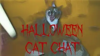 A Killer Orange Cat Halloween