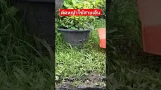 เครื่องตัดหญ้าใช้สายเอ็นข้อดี?