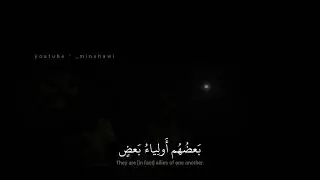 محمد صديق المنشاوي | يا ايها الذين امنوا لا تتخذوا اليهود والنصارى اولياء | سورة المائدة