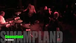 2018 Swampland 
