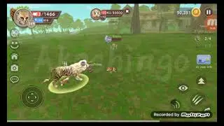 REACHING MASTER RANK!//WILDCRAFT//(desc and pinned comment :D)