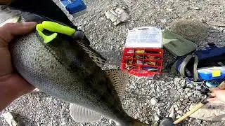 Fishing for zander. HPP Novosibirsk. River Ob.