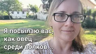 Духовная Зрелость это не Жалость, а ПОСЛУШАНИЕ Духу Святому🔥 Я посылаю вас как овец, среди волков🙏