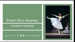 Pointe Shoe Anatomy