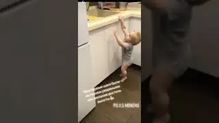 Spider Baby | Shorts | #cookie #on #the #counter #funnybabies #shorts