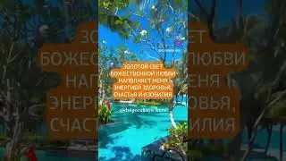 Золотой Свет